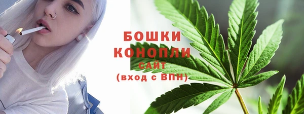 эйфоретик Гусев
