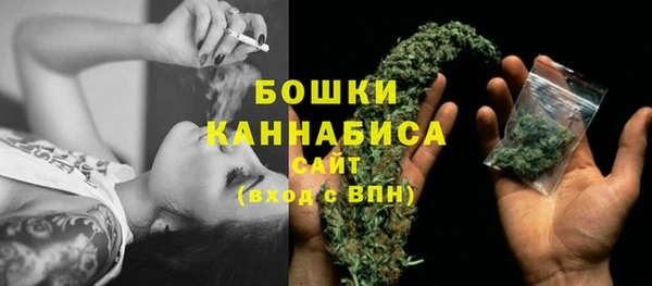 сатива Гусиноозёрск