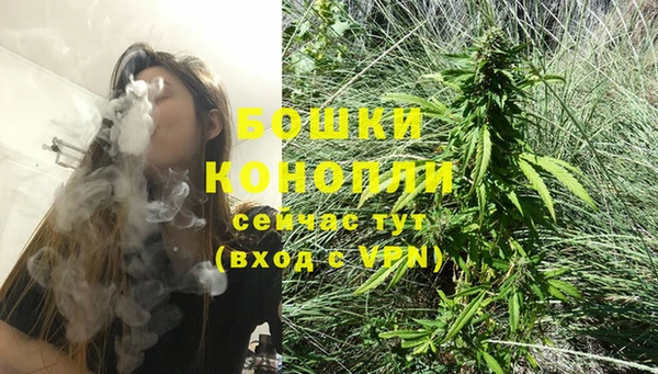 сатива Гусиноозёрск