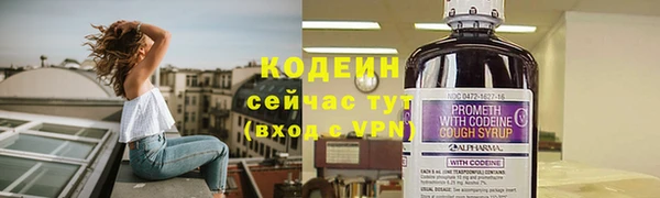 дживик Гусь-Хрустальный