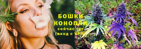 дживик Гусь-Хрустальный