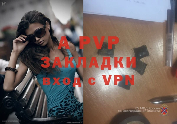 эйфоретик Гусев
