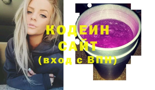 дживик Гусь-Хрустальный