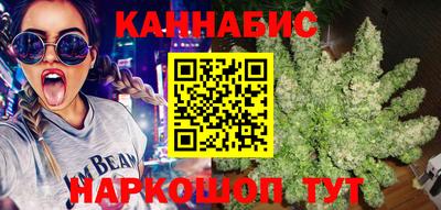 прущие грибы Ирбит