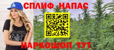прущие грибы Ирбит