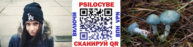 Псилоцибиновые грибы GOLDEN TEACHER Дальнереченск